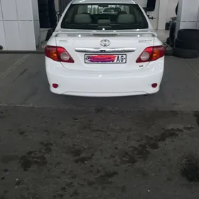 karolla haliji polka  yzky
