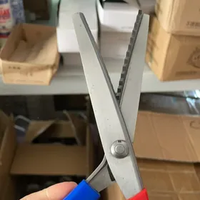 zigzag kesyan gaycy