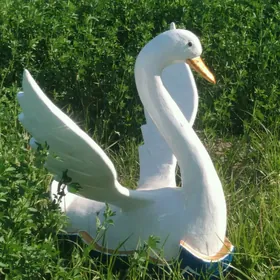 Ak guw heýkeli swinir owadan