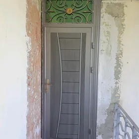 Железная дверь