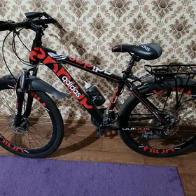 velosiped