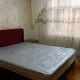 Arenda Mir 2  2 kom