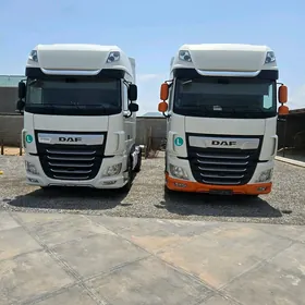 DAF 480 2019
