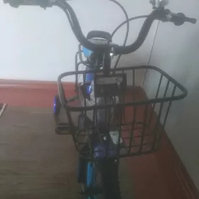 çaga tigir