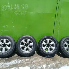 diska pakyrşka 17