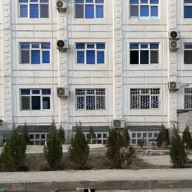 подвал Анев Магтымгулы