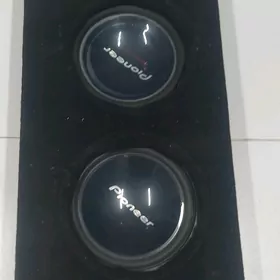 Pioneer ayna