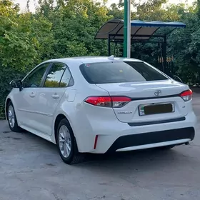 Toyota Corolla 2022