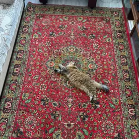 Ковры