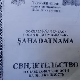 Satlyk magazin