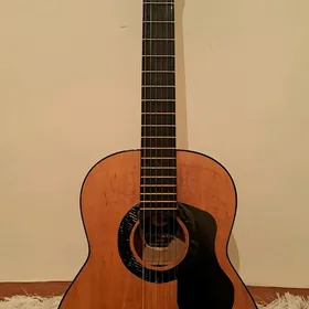 Gitara