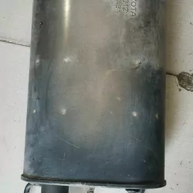 Gulsiter
