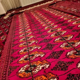 El haly Bäherden