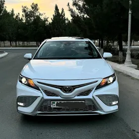 Toyota Camry 2019