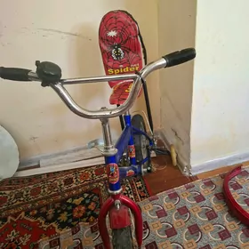 çaga tigir