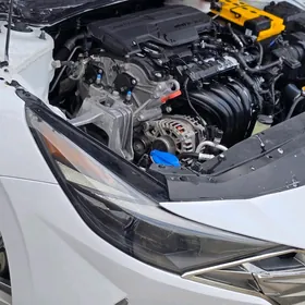 hyundai elantra nikl