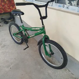 20 lik tigir