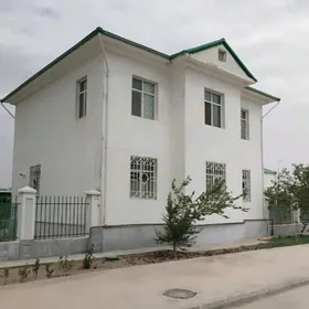 Taze zaman kotez