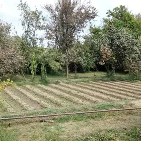 Дача Полёт