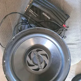 pioneer bocka