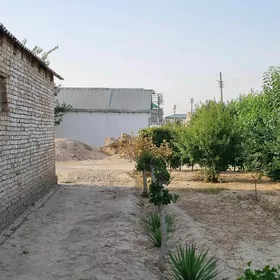 Kone Gami 6 sotak