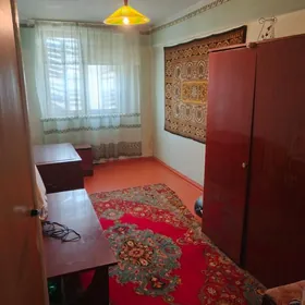 satlyk jaý 209