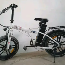elektrik welik