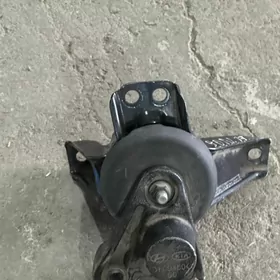 Kia Hyundai Morda