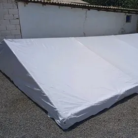 palata