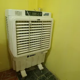 sowadyjy