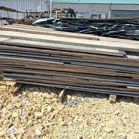 Pilimut 10.10 Agac
