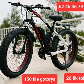 TIGIR BASEYKA ROLIK SKEYT STOL