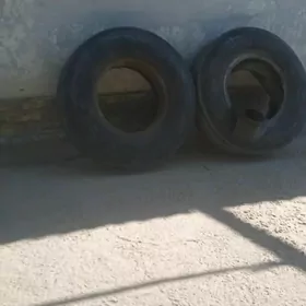 teker saýlun