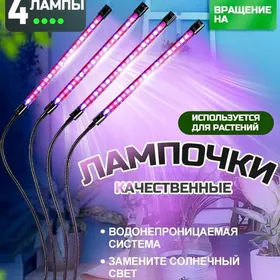 фитоЛампа
