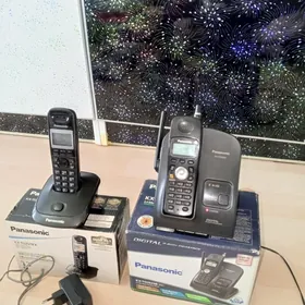 domasnyy telefon