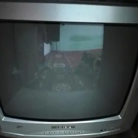 kici telewizor