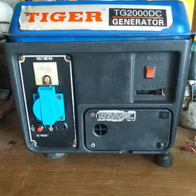 tigr