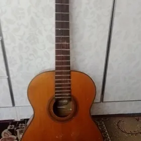 Gitara
