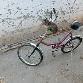 KAMA 