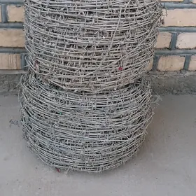колючий проволока (demir tiken