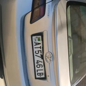 stopnik