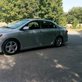 Toyota Corolla 2010