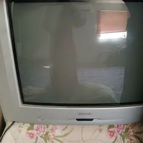 telwizor