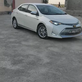 Toyota Corolla 2014