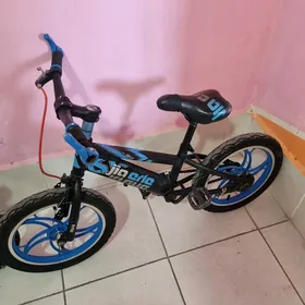 caga tigir