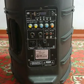 aktiwny kalonka
