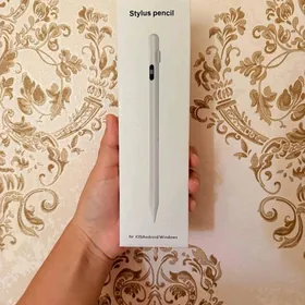 Stylus pencil