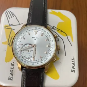 sagat Fossil