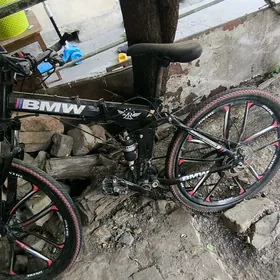 bmw tigir