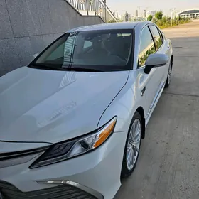 Toyota Camry 2019